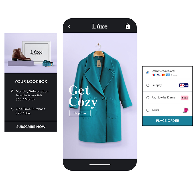 Complete online payment solution Wix Payments